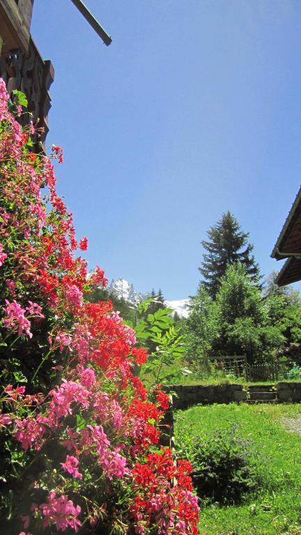 Beausoleil Bed and Breakfast Σαμονί Εξωτερικό φωτογραφία