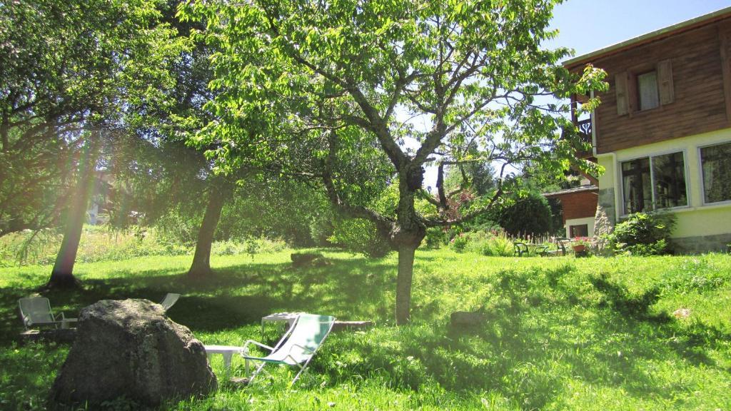 Beausoleil Bed and Breakfast Σαμονί Εξωτερικό φωτογραφία